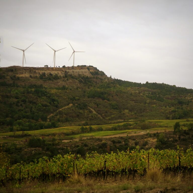 Domaine du Mouscaillo, Roquetaillade, Aude