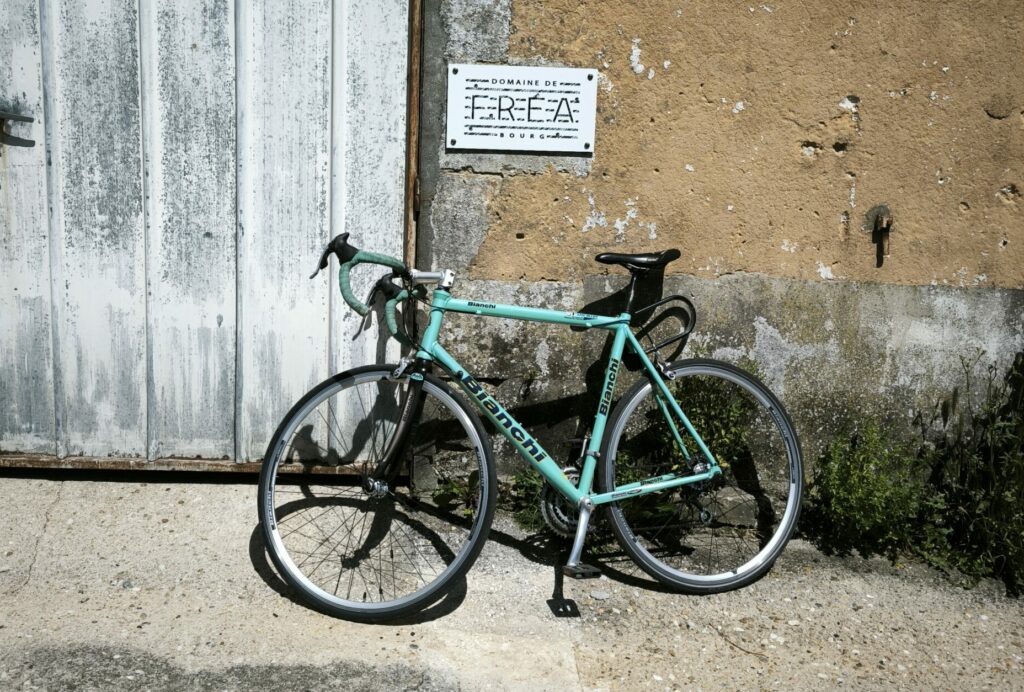 frea-intro-velo